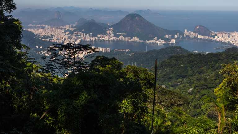 Rio, São Paulo e Foz do Iguaçu lideram escolhas de estrangeiros no Brasil em julho