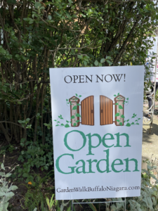 Open Garden, Buffalo/ Foto: Marcela Miranda
